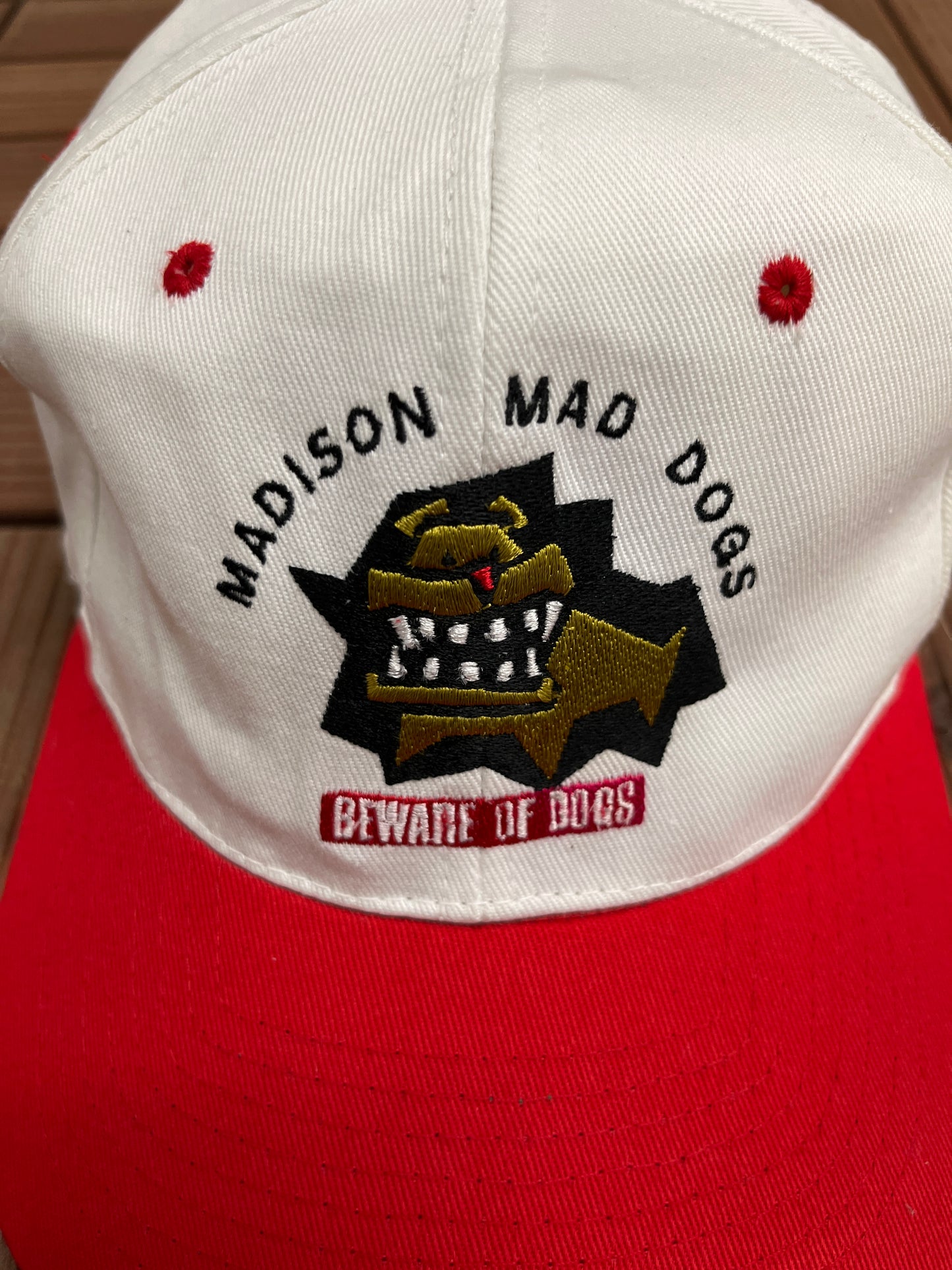 Madison Mad Dogs Embroidered Hat | Snap Back | Vintage 1990s Indoor Football League IFL White Cap |