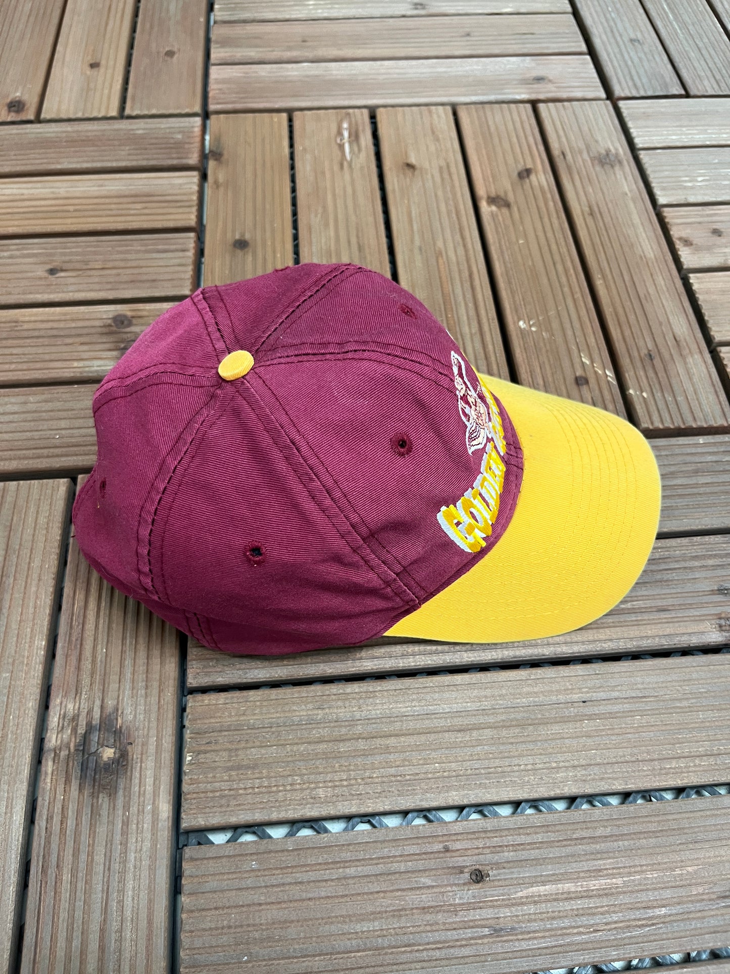 Minnesota Golden Gophers Graphic Hat | Snap Back | Vintage 1990s College Red Cap |