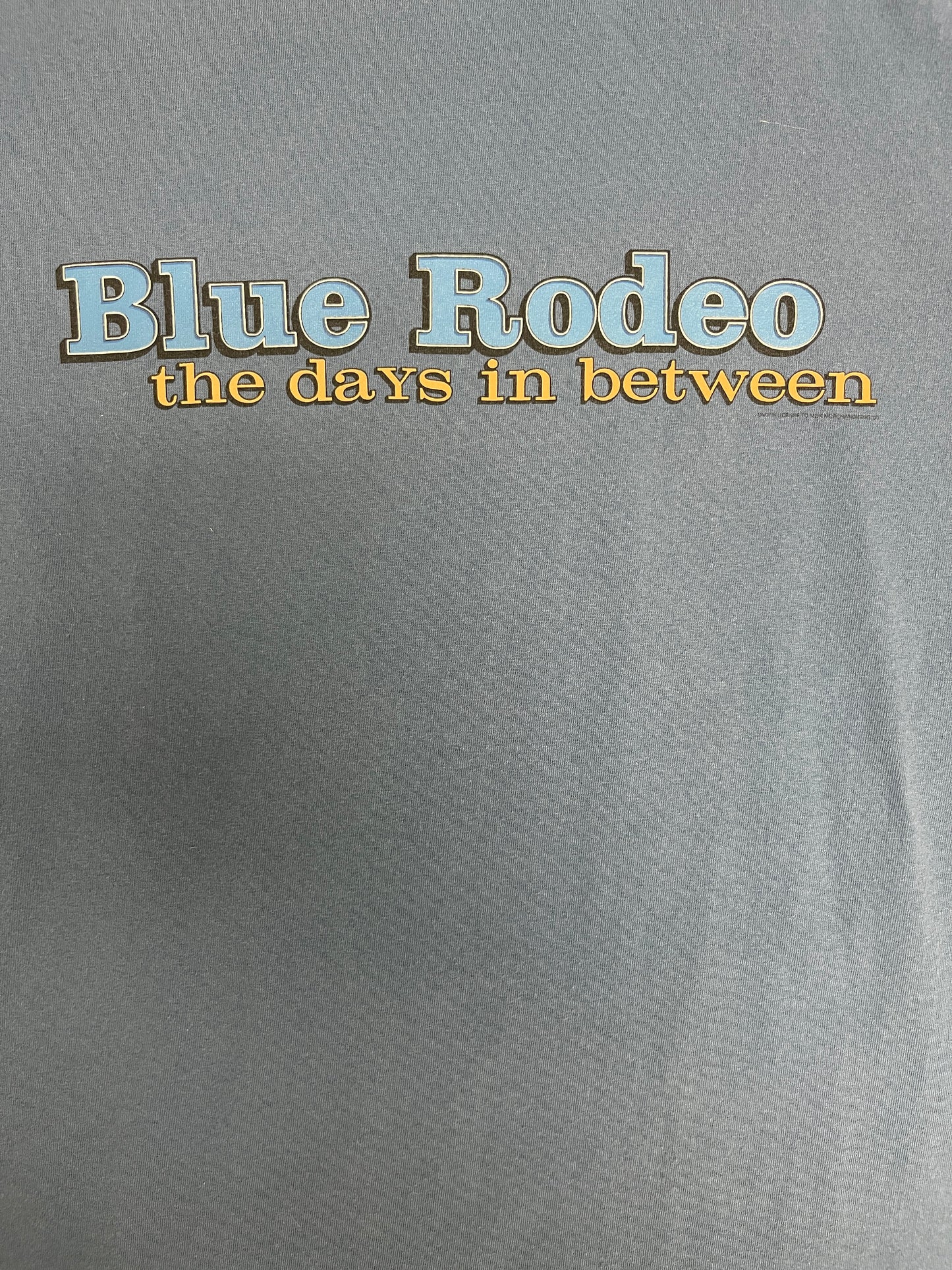 Blue Rodeo The Days In Between Graphic Tee | Size X-Large | Vintage 1990s Rock Band Blue T-Shirt |