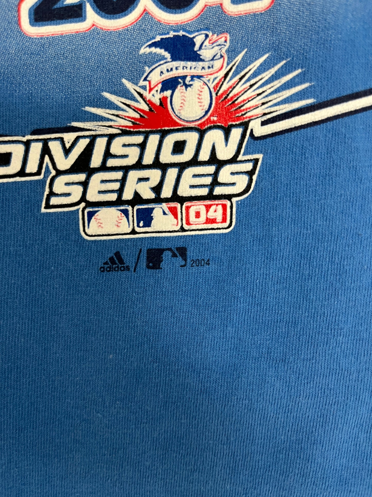 Minnesota Twins AL Central Division Champions Graphic Tee | Size Large | Vintage 2000s MLB Baseball Blue T-Shirt |