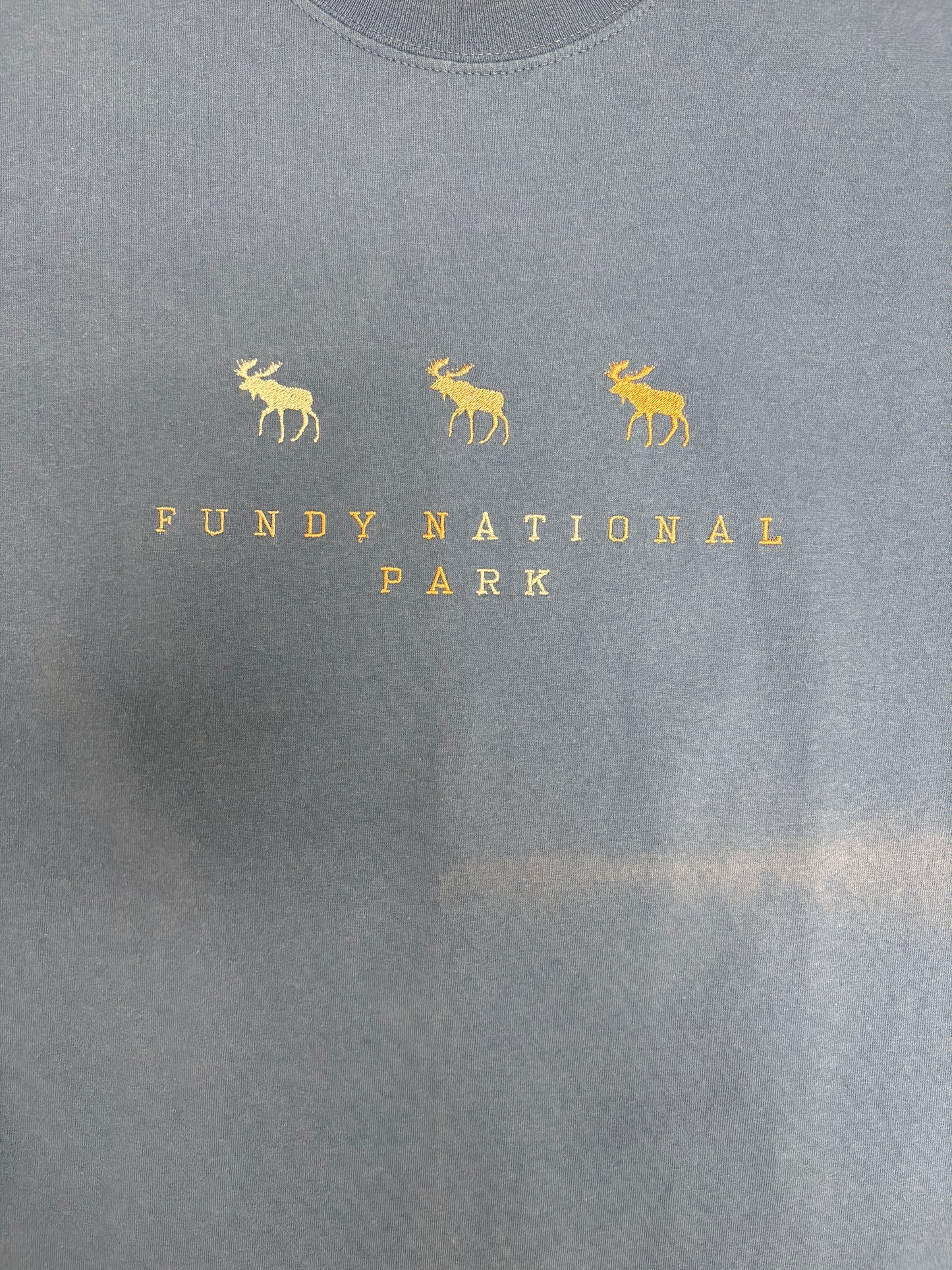 Fundy National Park Graphic Tee | Size XX-Large | Vintage 2000s Tourist Promotional Blue T-Shirt |