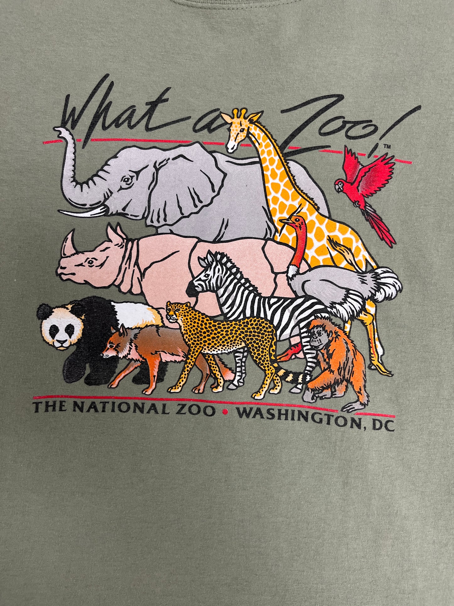 What A Zoo! Washington, DC Graphic Tee | Size Medium | Vintage 2000s Animal Graphic Green T-Shirt |