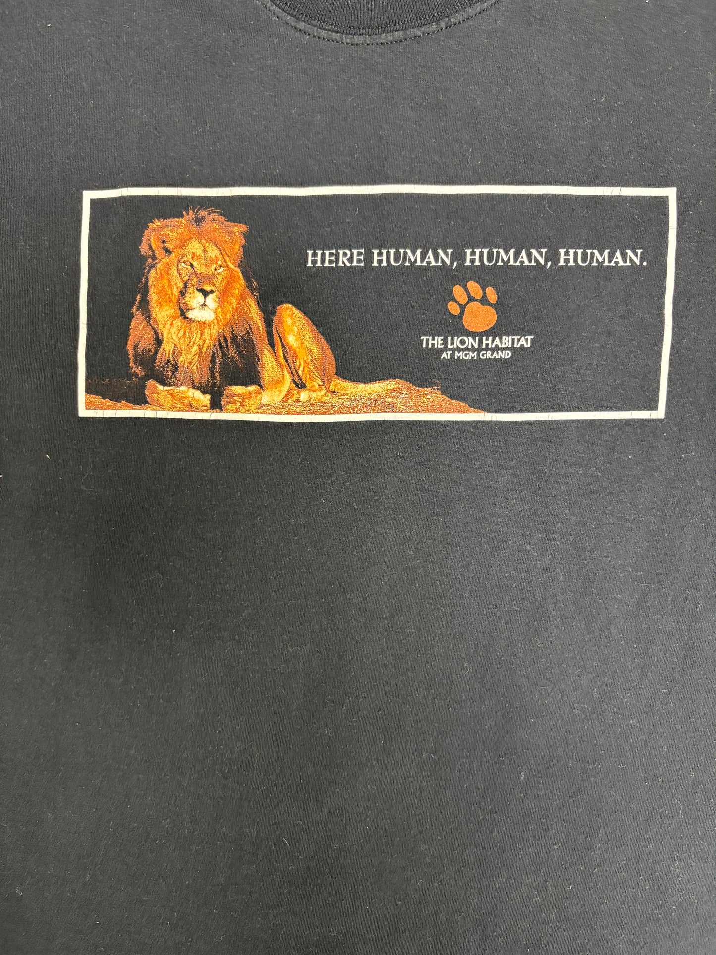 The Lion Habitat At MGM Grand Graphic Tee | Size X-Large | Vintage 1990s Tourist Black T-Shirt |