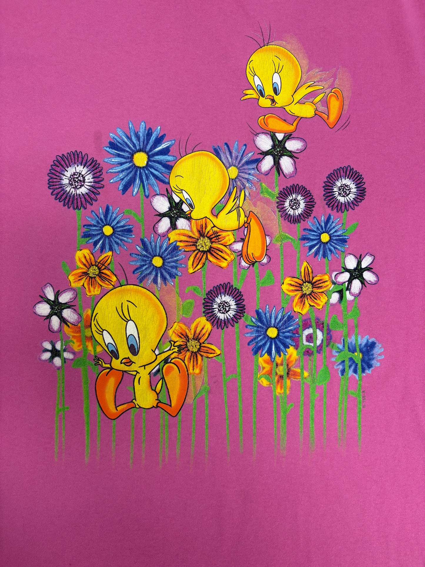 Tweety Bird Graphic Tee | Size X-Large | Vintage 1990s Tweety Bird Looney Tunes Cartoon Pink T-Shirt |