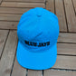 Toronto Blue Jays Embroidered Hat | Snap Back | 2000s MLB Baseball Blue Cap |