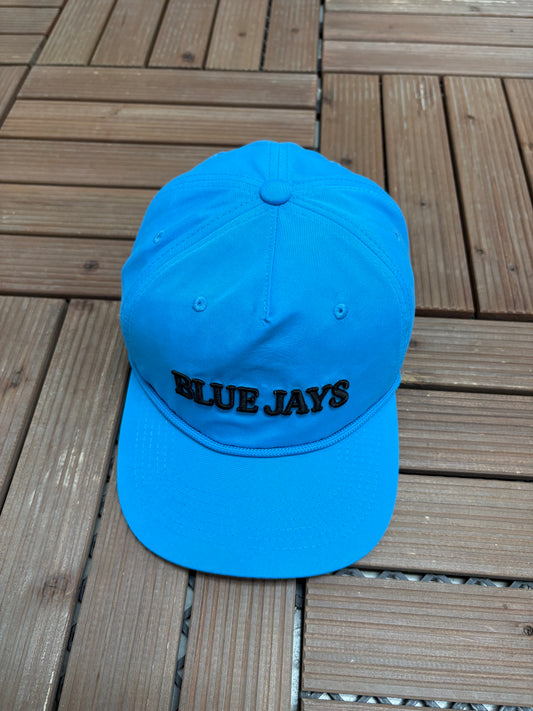 Toronto Blue Jays Embroidered Hat | Snap Back | 2000s MLB Baseball Blue Cap |