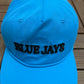 Toronto Blue Jays Embroidered Hat | Snap Back | 2000s MLB Baseball Blue Cap |