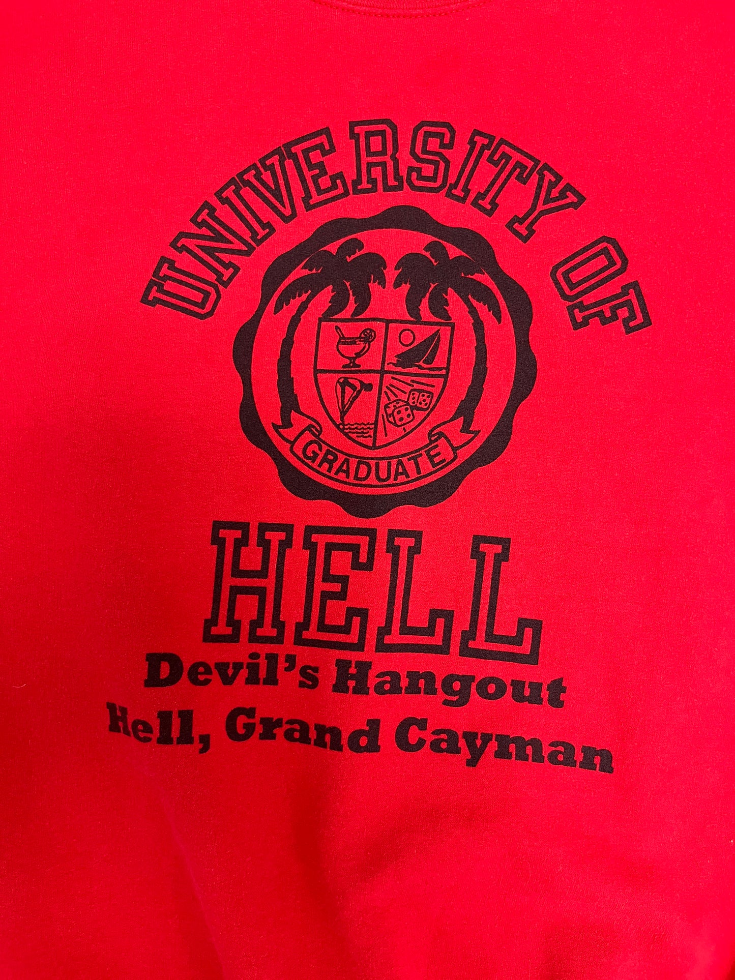 University of Hell Devil's Hangout Graphic Crewneck | Size Large | Vintage 2000s Promotional Red Sweater |