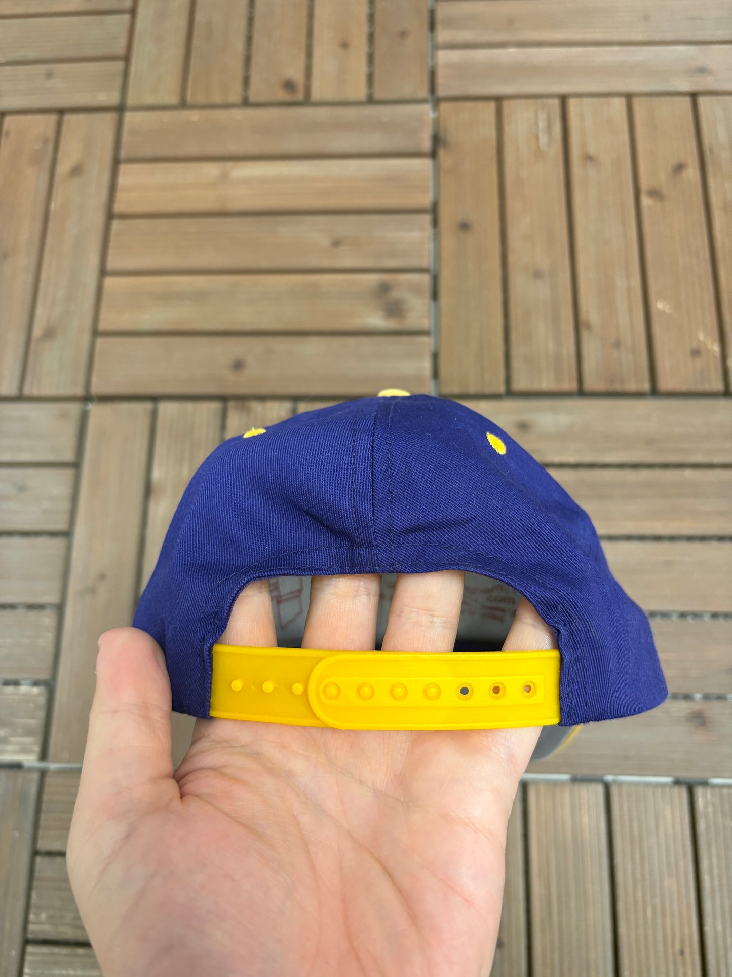 Minnesota Vikings Graphic Hat | Snap Back | Vintage 1990s NFL Football Purple Cap |