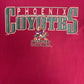 Phoenix Coyotes Graphic Tee | Size X-Large | Vintage 1990s NHL Hockey Red T-Shirt |