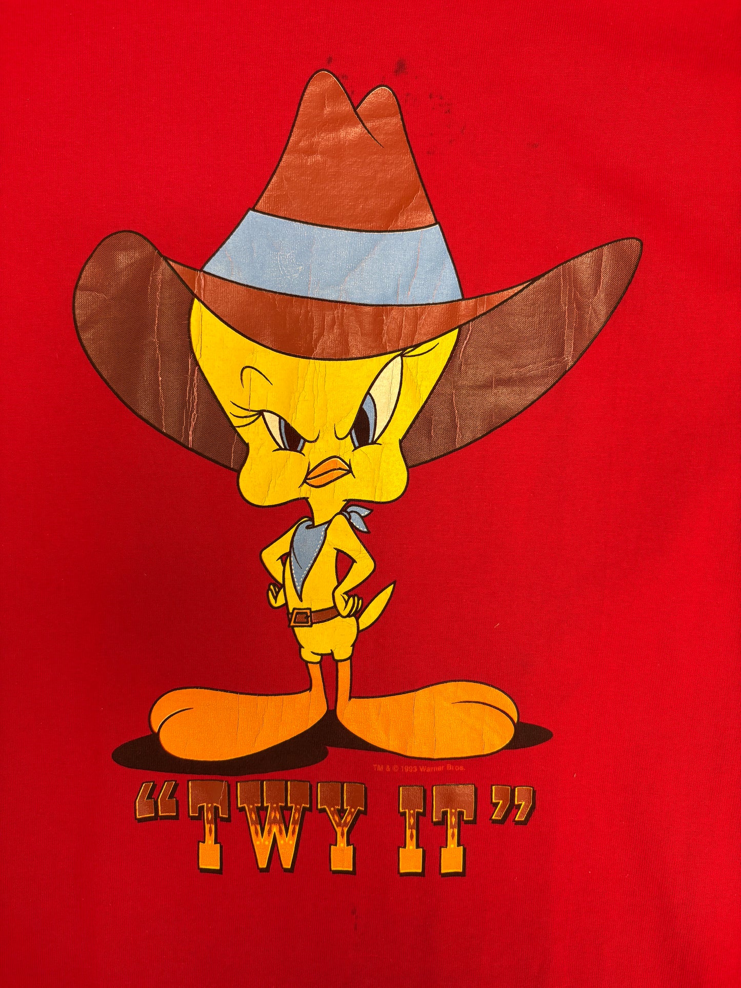 Tweety Bird Twy It! Graphic Tee | Size Medium | Vintage 1990s Cartoon Red T-Shirt |