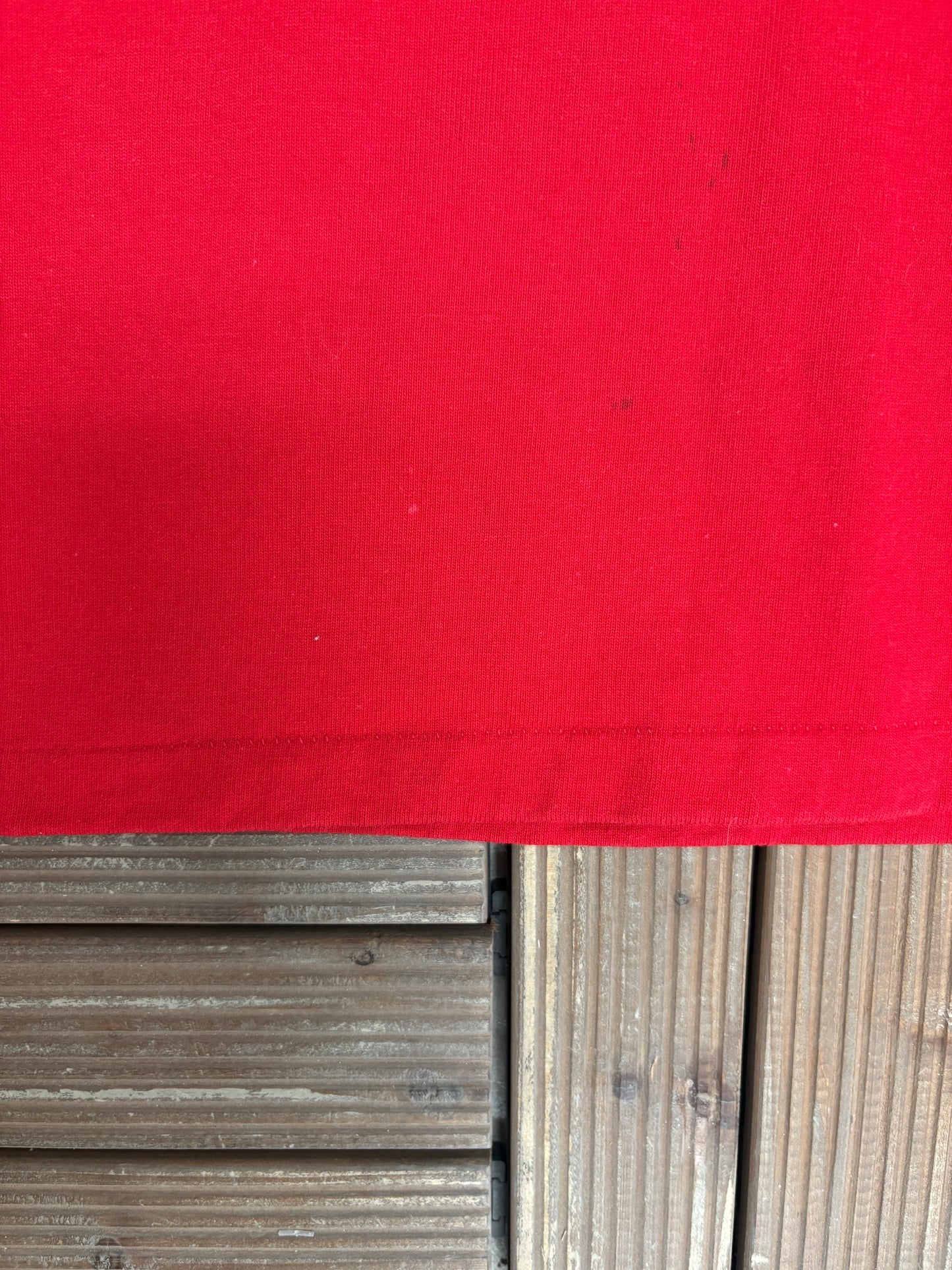 Tweety Bird Twy It! Graphic Tee | Size Medium | Vintage 1990s Cartoon Red T-Shirt |