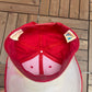 Cincinnati Reds Embroidered Graphic Hat | Snap Back | Vintage 1990s MLB Baseball Red Cap |