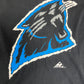 Carolina Panthers Graphic Tee | Size Large | Vintage 1990s NFL Football Black T-Shirt | Made in USA |