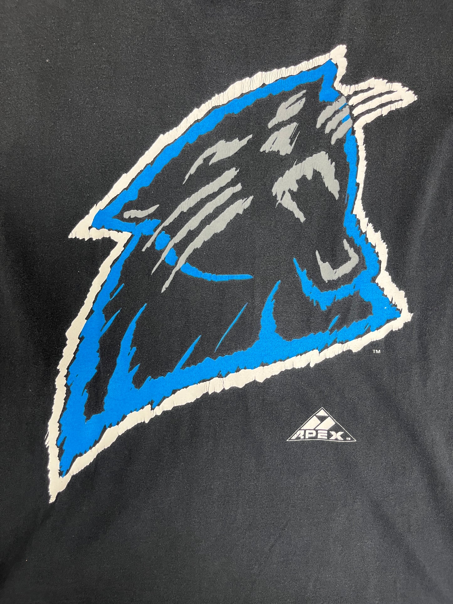 Carolina Panthers Graphic Tee | Size Large | Vintage 1990s NFL Football Black T-Shirt | Made in USA |