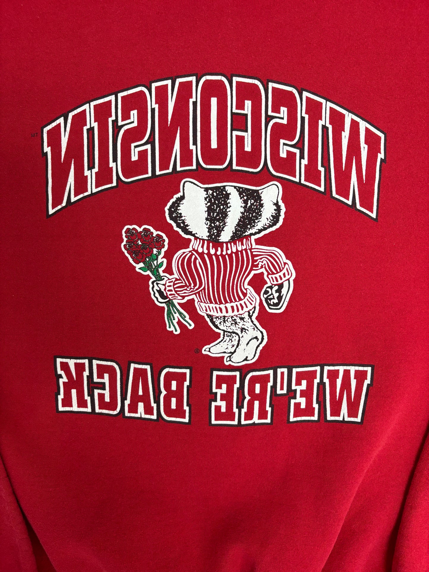 Wisconsin Badgers Rose Bowl 2000 We're Back Graphic Crewneck | Size Medium | Vintage 2000s College Red Sweater |