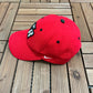 Toronto Raptors Nike Embroidered Graphic Hat | Strap Back | Vintage 2000s NBA Basketball Red Cap |