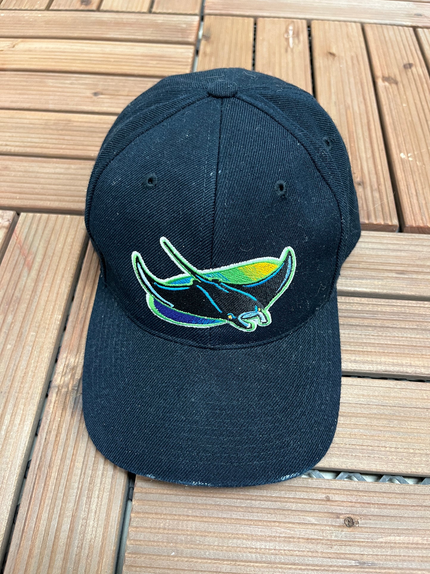 Tampa Bay Devil Rays Embroidered Graphic Hat | Snap Back | Vintage 1990s MLB Baseball Sports Specialties Black Cap |