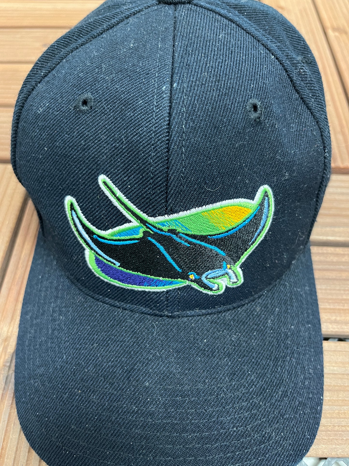 Tampa Bay Devil Rays Embroidered Graphic Hat | Snap Back | Vintage 1990s MLB Baseball Sports Specialties Black Cap |