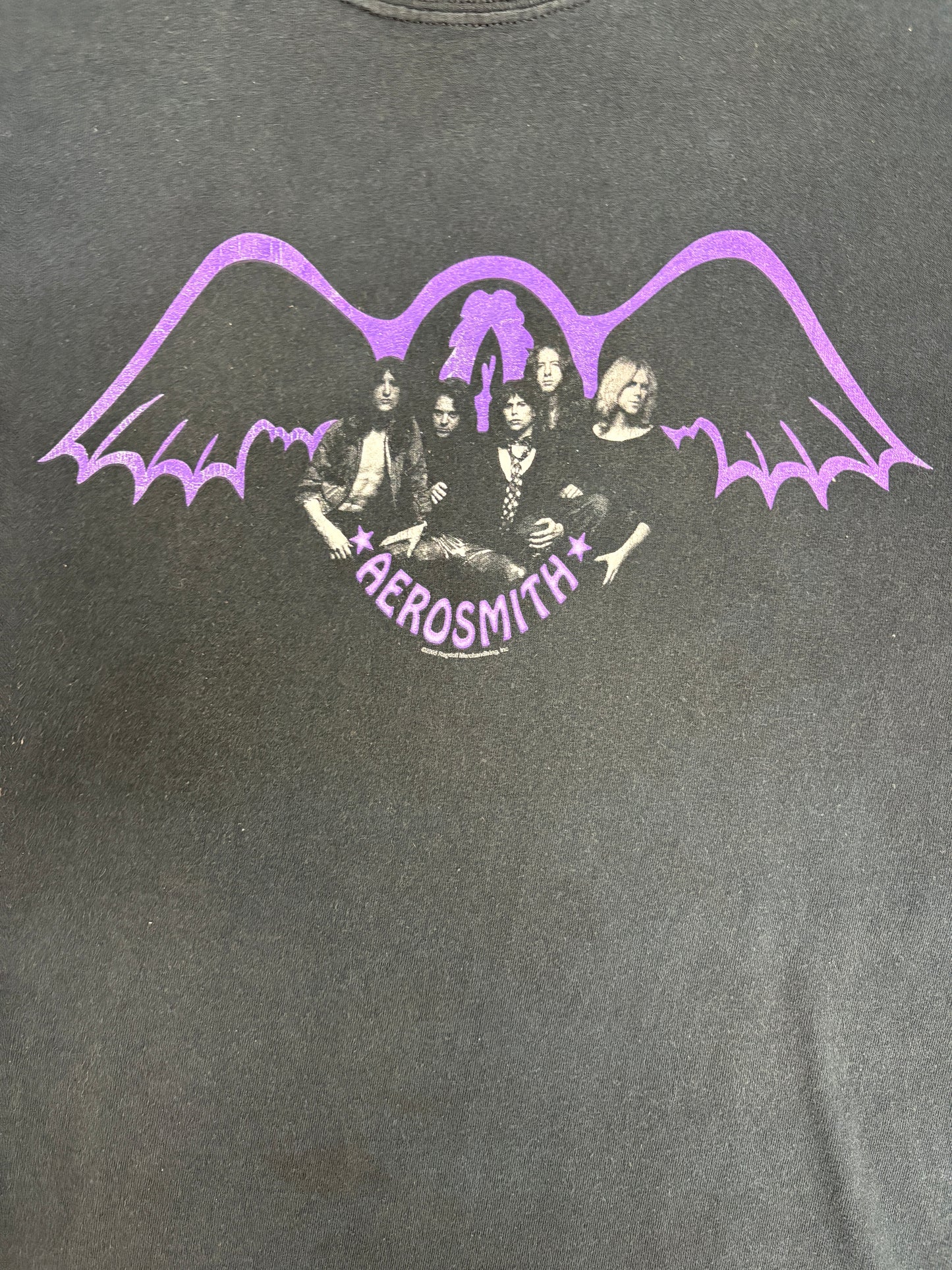 Aerosmith Get Your Wings Graphic Tee | Size Large | Vintage 2000s Rock Band Black T-Shirt |