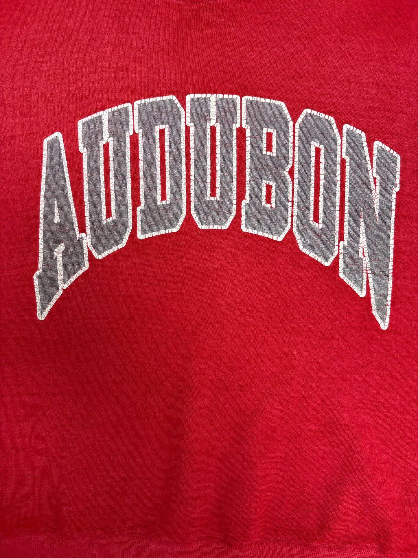 Audubon Spell Out Graphic Crewneck | Size X-Large | Vintage 1990s Made in USA Red Sweater |