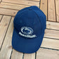 Penn State Nittany Lions Graphic Hat | Snap Back | Vintage 2000s College Blue Cap |