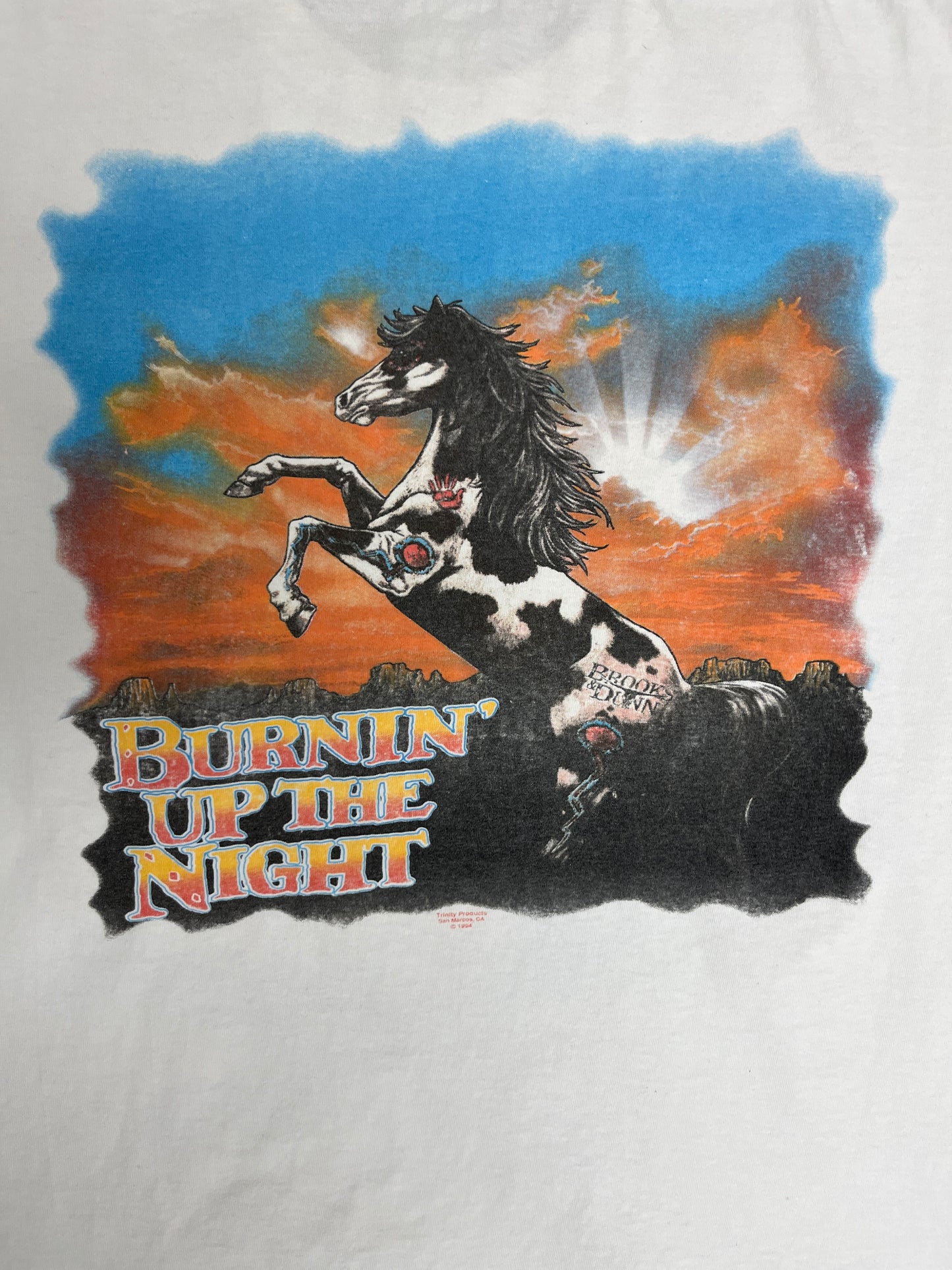 Brooks & Dunn Burnin' Up The Night Graphic Tee | Size Large | Vintage 1990s Promotional Country Music White T-Shirt |