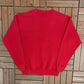 Detroit Red Wings Graphic Crewneck | Size Medium | Vintage 1990s NHL Hockey Red Sweater |