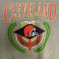 Cleveland Browns Graphic Crewneck | Size Large | Vintage 1990s NFL Football Grey Sweater |