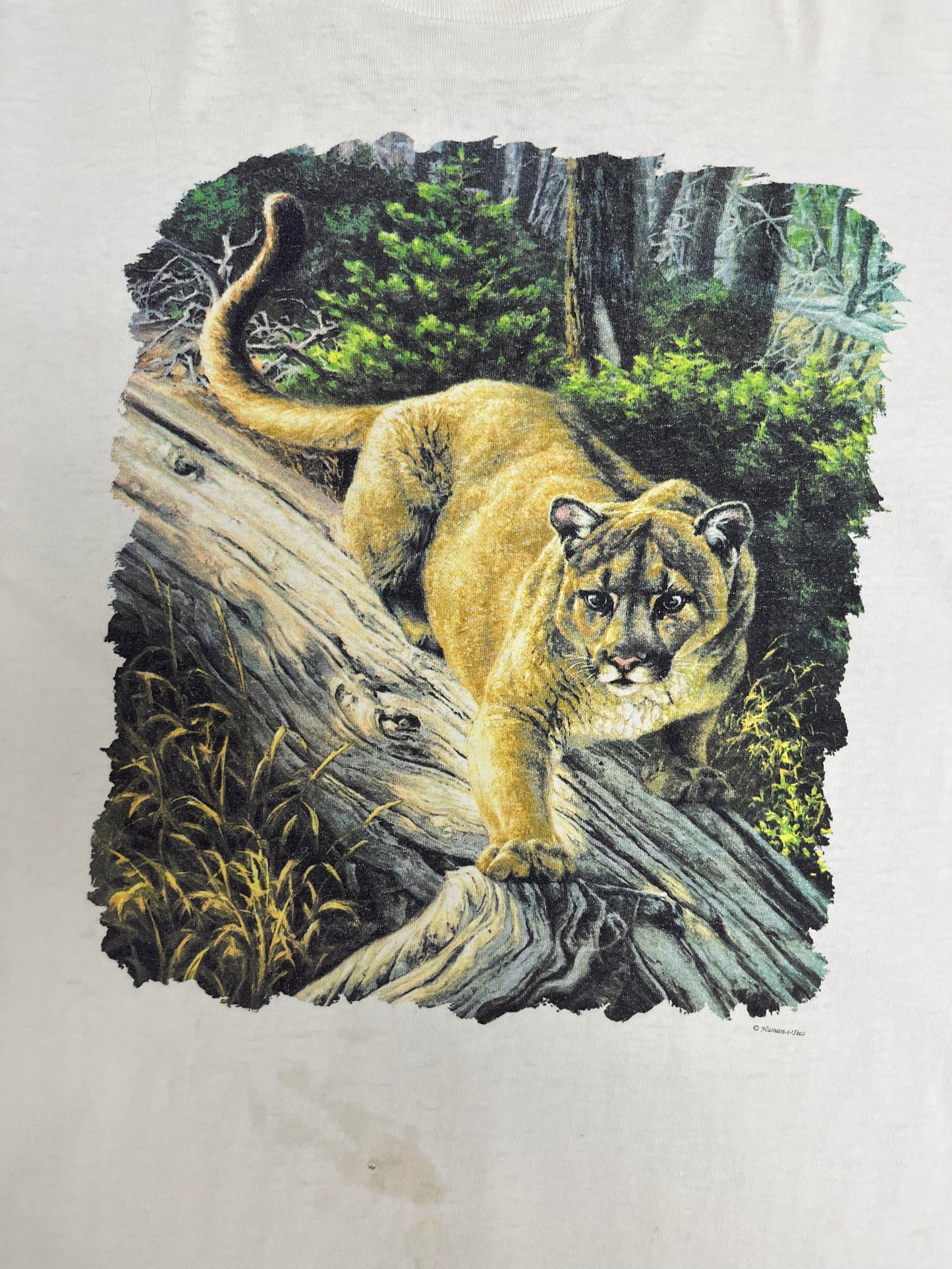 Lioness Human-i-Tees Graphic Tee | Size Large | Vintage 1990s Single Stitch White Long Sleeve |