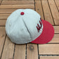 Alabama Crimson Tide Roll Tide Graphic Hat | Snap Back | Vintage 2000s College Grey Cap |