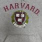 Harvard University Graphic Hoodie | Size Small | Vintage 2000s College Grey Sweatshirt |