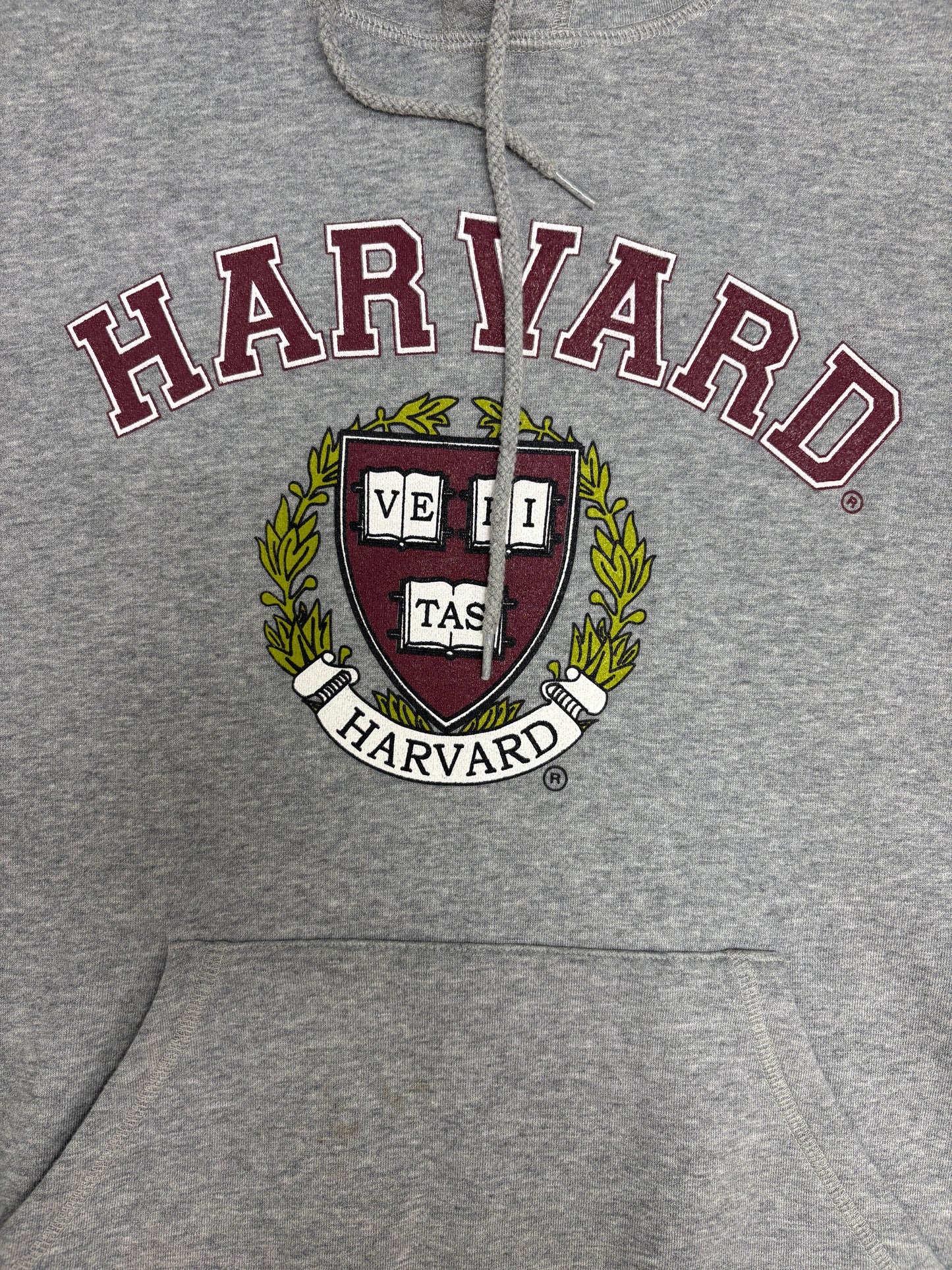 Harvard University Graphic Hoodie | Size Small | Vintage 2000s College Grey Sweatshirt |