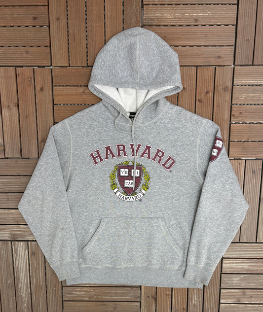 Harvard University Graphic Hoodie | Size Small | Vintage 2000s College Grey Sweatshirt |
