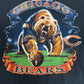 Chicago Bears Graphic Tee | Size Large | Vintage 2000s NFL Football Black T-Shirt |