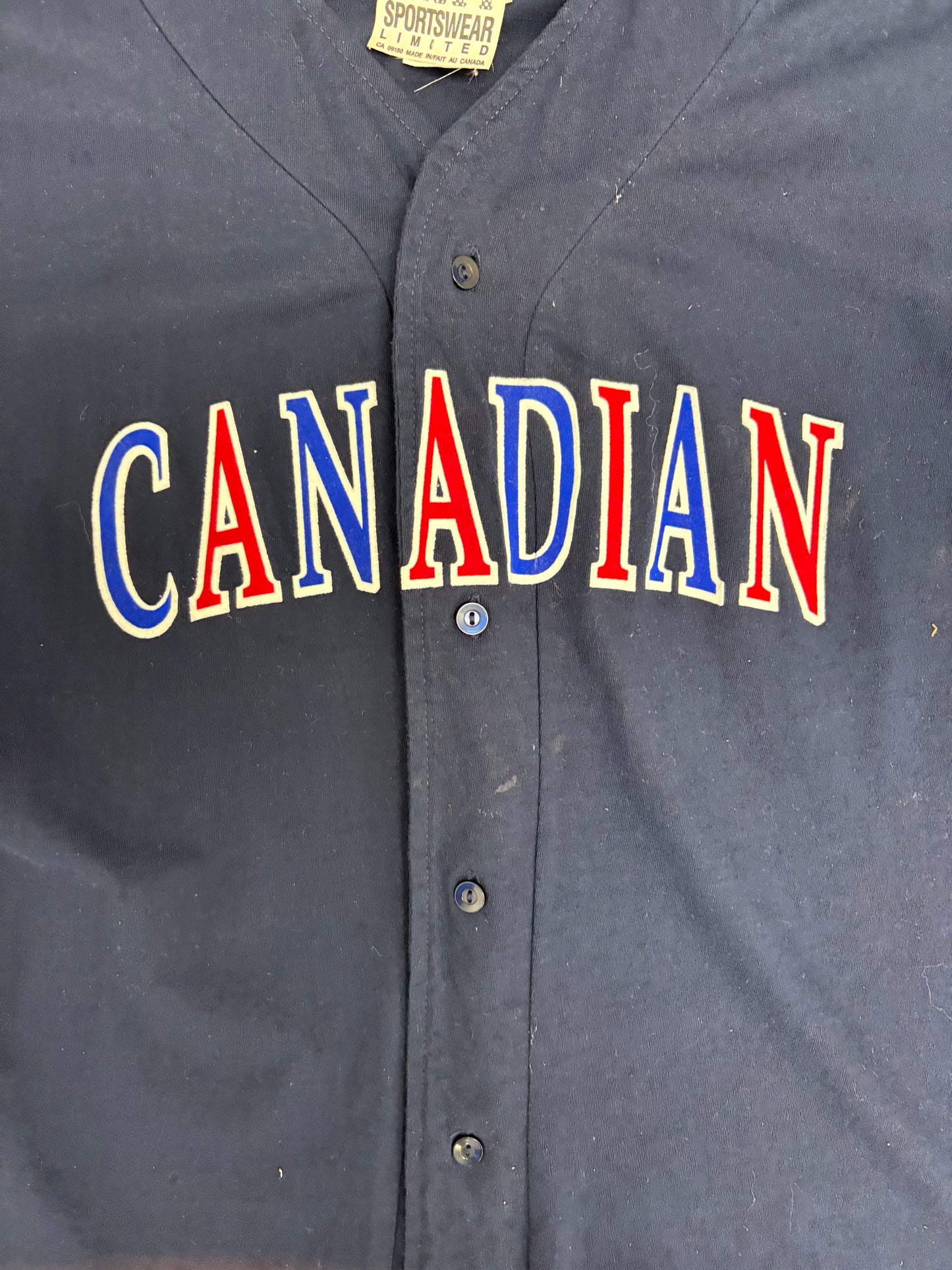 Molson Canadian Graphic Jersey | Size Large | Vintage 1990s Blue Promotional Jersey |