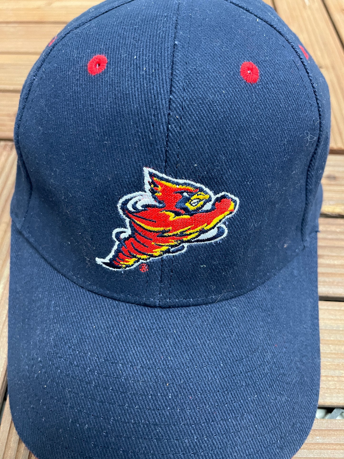 Iowa State Cyclones Graphic Hat | Strap Back | Vintage 2000s College Sports Blue Cap |