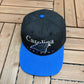 Carolina Panthers Embroidered Graphic Hat | Snap Back | Vintage 1990s NFL Football Black Cap |
