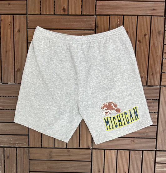 Michigan Wolverines Graphic Sweat Shorts | Vintage Large | Vintage 1990s College Sports Grey Shorts | Made in USA |