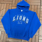 Detroit Lions Graphic Hoodie | Size Medium | Vintage 1990s NFL Football Blue Sweater |