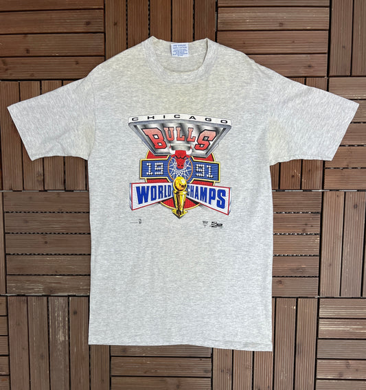 Chicago Bulls 1991 World Champs Graphic Tee | Size X-Large | Vintage 1990s NBA Basketball Grey T-Shirt |