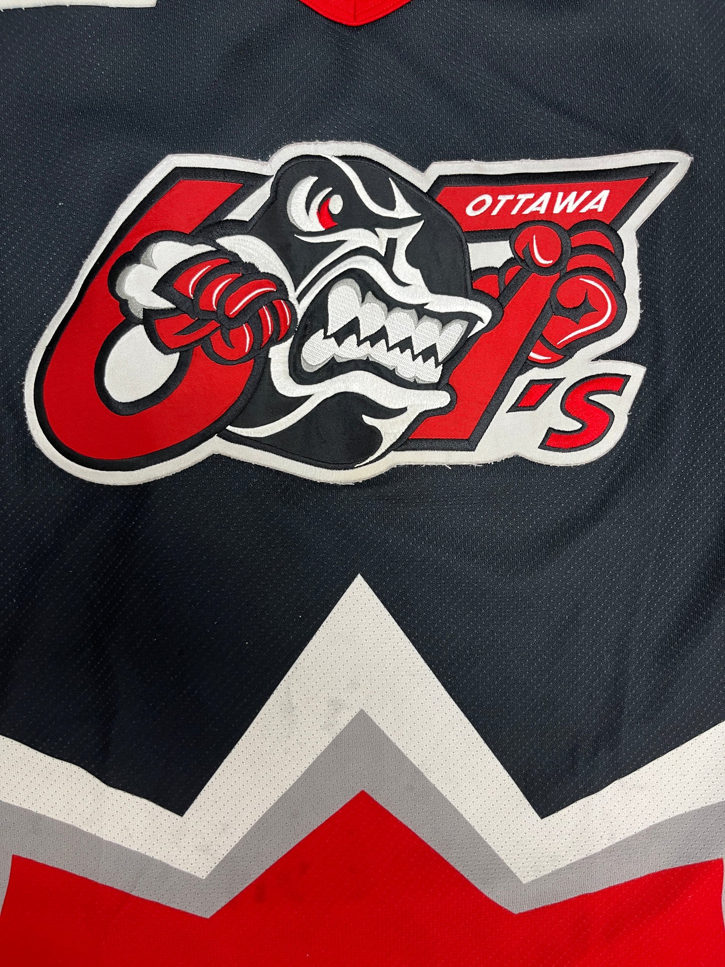 Ottawa 67's Hockey Jersey | Size Medium | Vintage 2000s OHL Hockey Black Jersey |