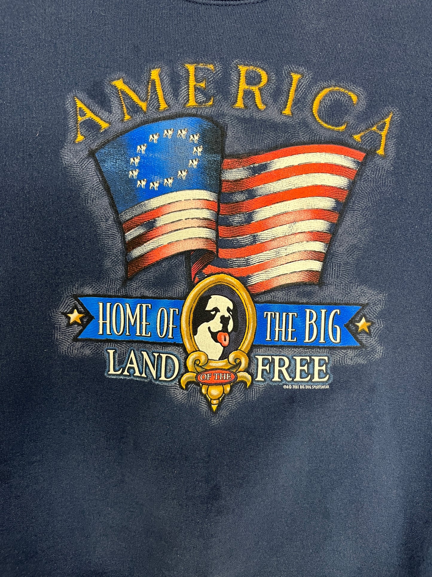 Big Dogs America Land Of The Free Graphic Crewneck | Size X-Large | Vintage 2000s Promotional Blue Sweater |