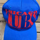 Chicago Cubs Embroidered Graphic Hat | Snap Back | Vintage 1990s MLB Baseball Blue Cap |