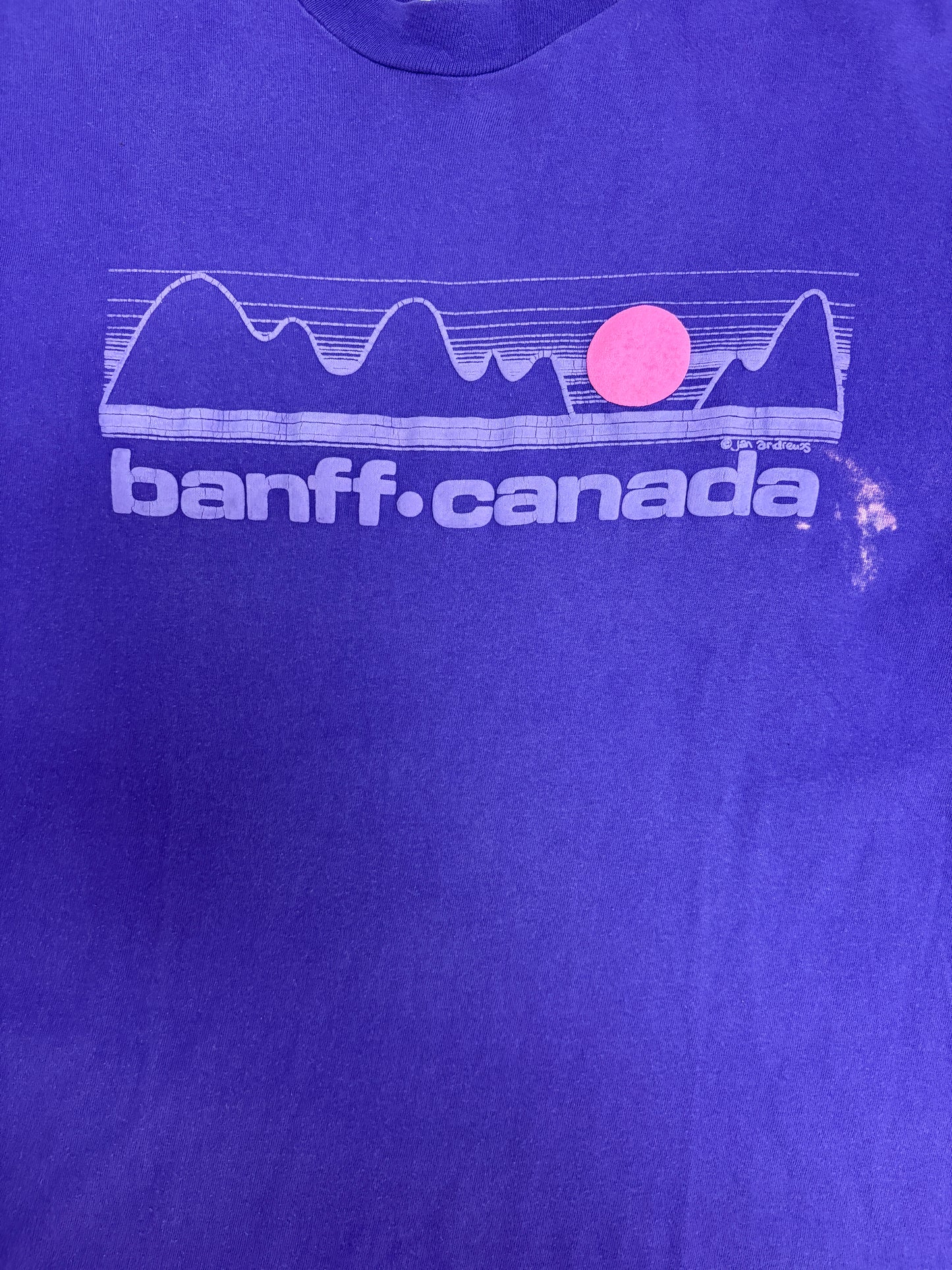 Banff Alberta, Canada Graphic Tee | Size Large | Vintage 1990s Tourist Single Stitch Purple T-Shirt |