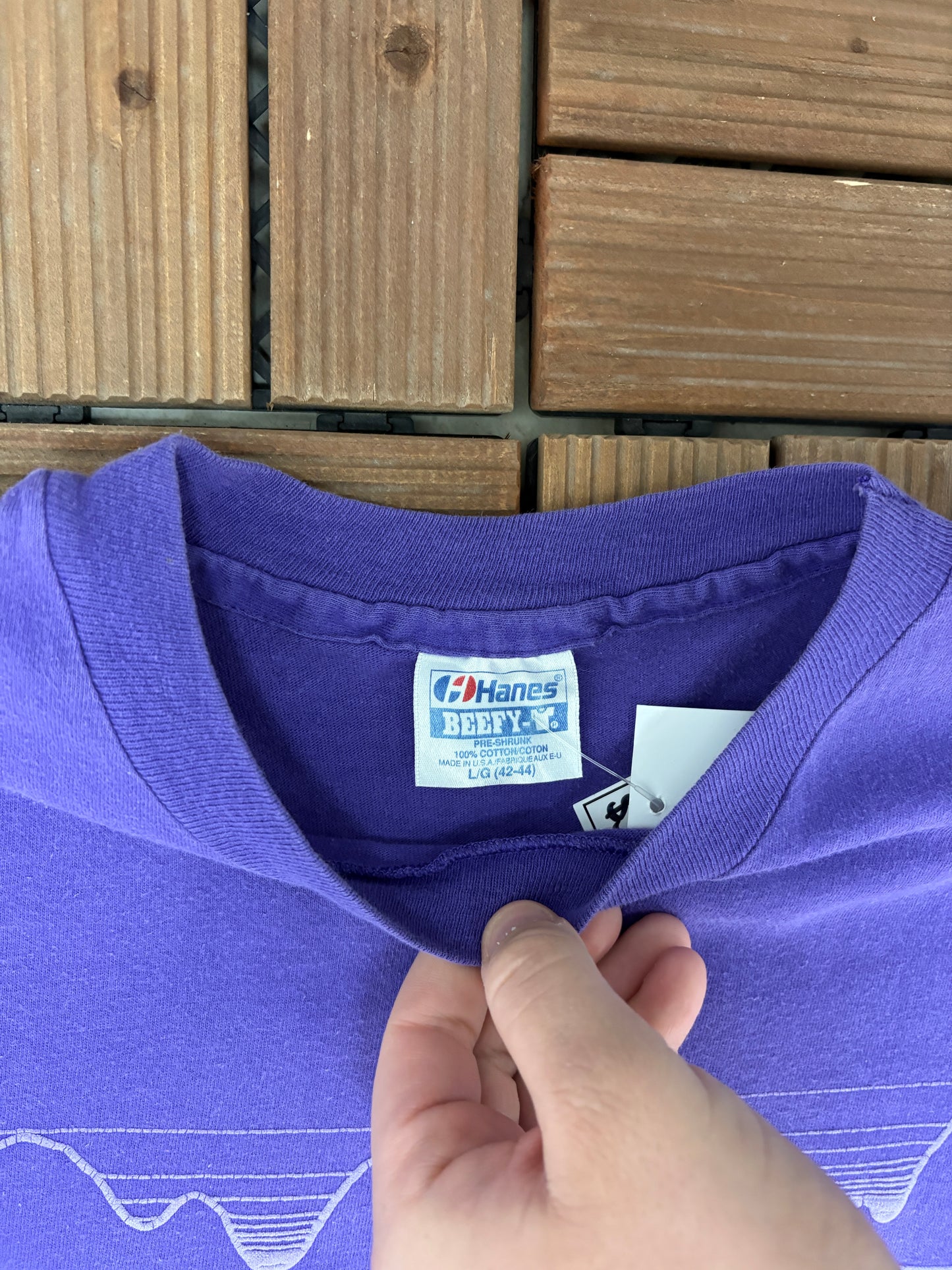 Banff Alberta, Canada Graphic Tee | Size Large | Vintage 1990s Tourist Single Stitch Purple T-Shirt |