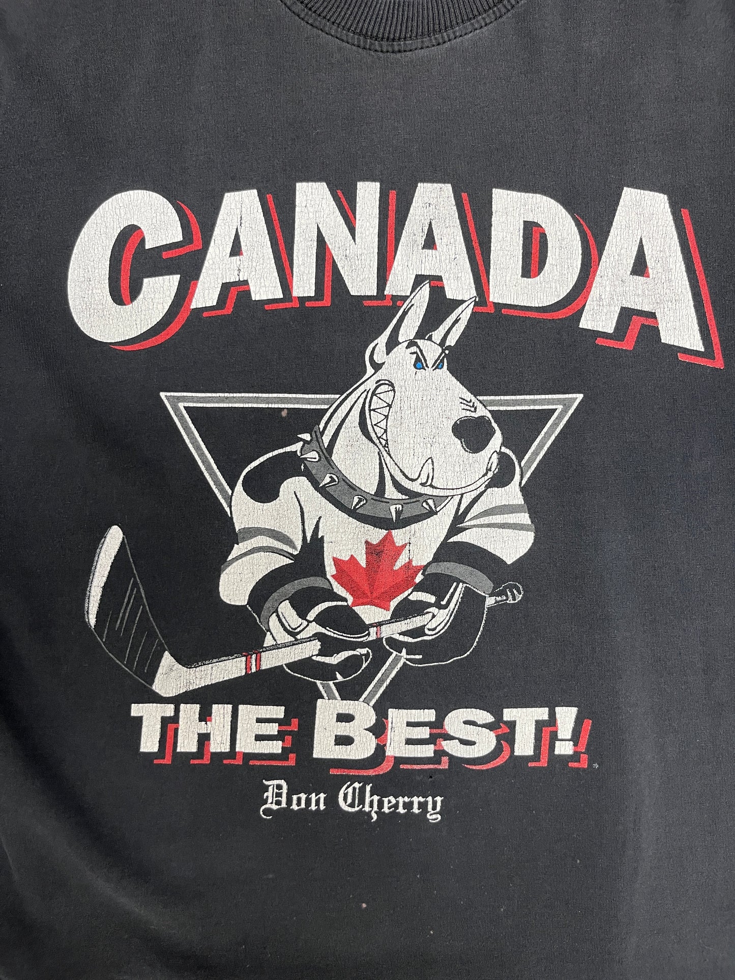 Don Cherry Canada The Best! Graphic Tee | Size Large | Vintage 1990s Hockey Black T-Shirt |