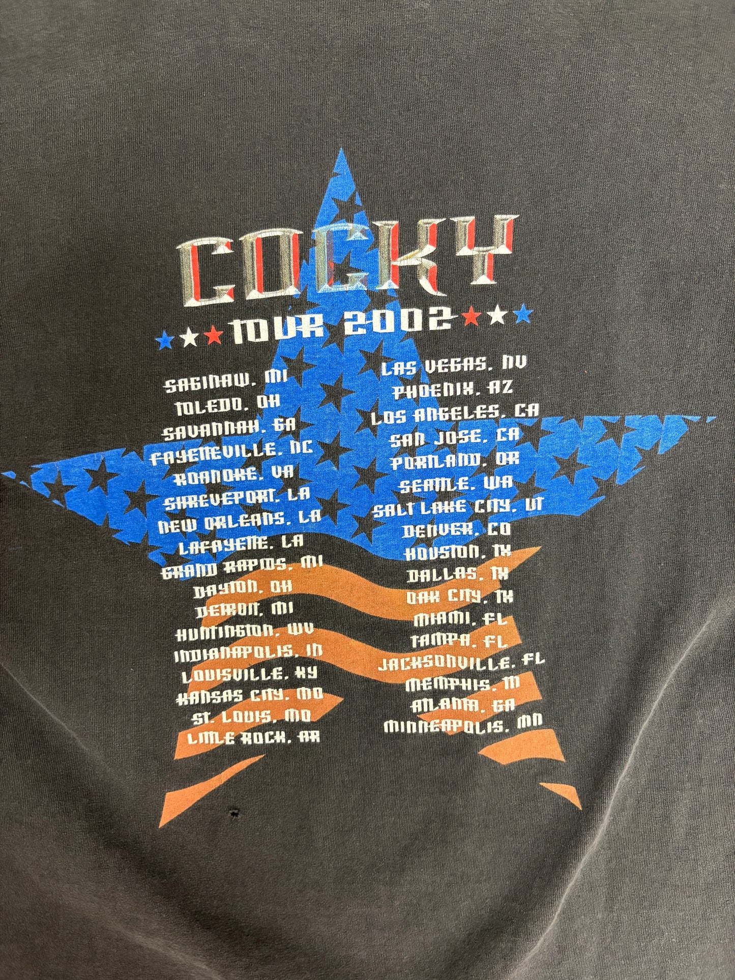 Kid Rock Cocky Tour 2002 Graphic Tee | Size Medium | Vintage 2000s Music Black T-Shirt |
