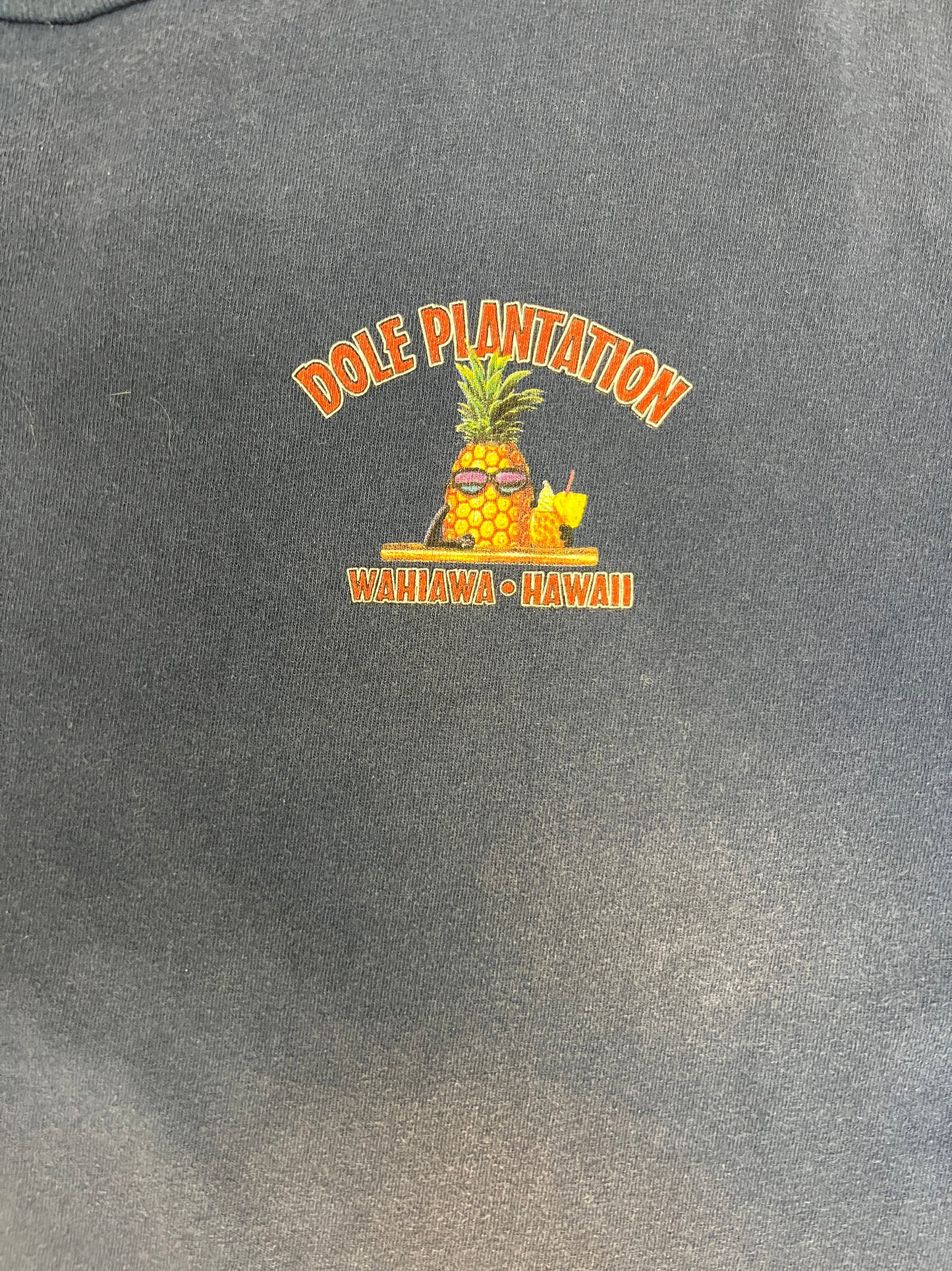 Dole Plantation Hawaii Graphic Tee | Size XX-Large | Vintage 2000s Juice Promotional Blue T-Shirt |