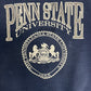 Penn State Nittany Lions Graphic Crewneck | Size Large | Vintage 1990s Blue College Sweater |